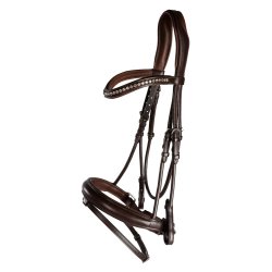 lippo-dressyrträns-courbette-brun-full