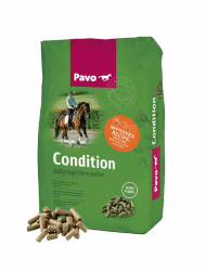 pavo-condition
