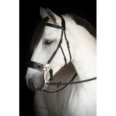 Zoom bild av Lippo-hackamoreträns-chester