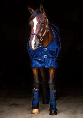 Zoom bild av Nättäcke Mesh