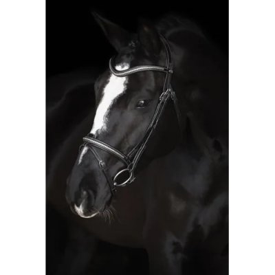 Zoom bild av lippo-supreme-nexon