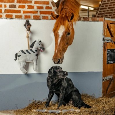 Zoom bild av hästleksak-boxleksak-zebra