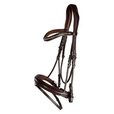 Zoom bild av lippo-dressyrträns-courbette-brun-full