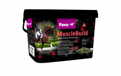 pavo-musclebuild
