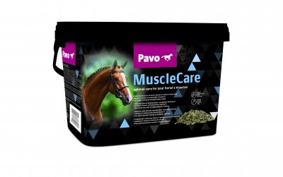 pavo-musclecare