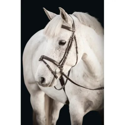 Zoom bild av Lippo-basic-knights