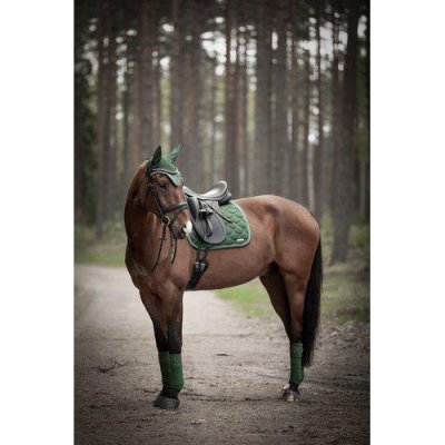 Zoom bild av venus-lamicell-schabrak-dressyr